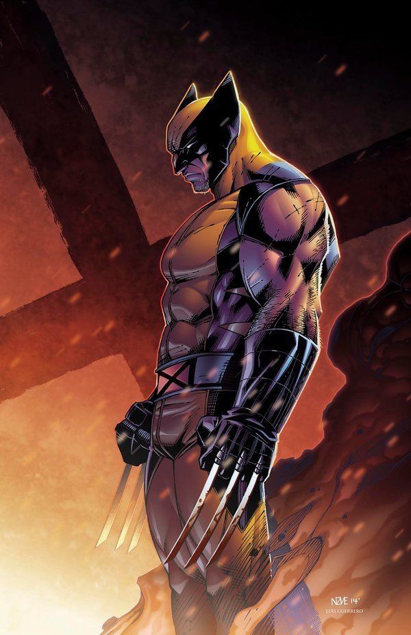 Wolverine Pic